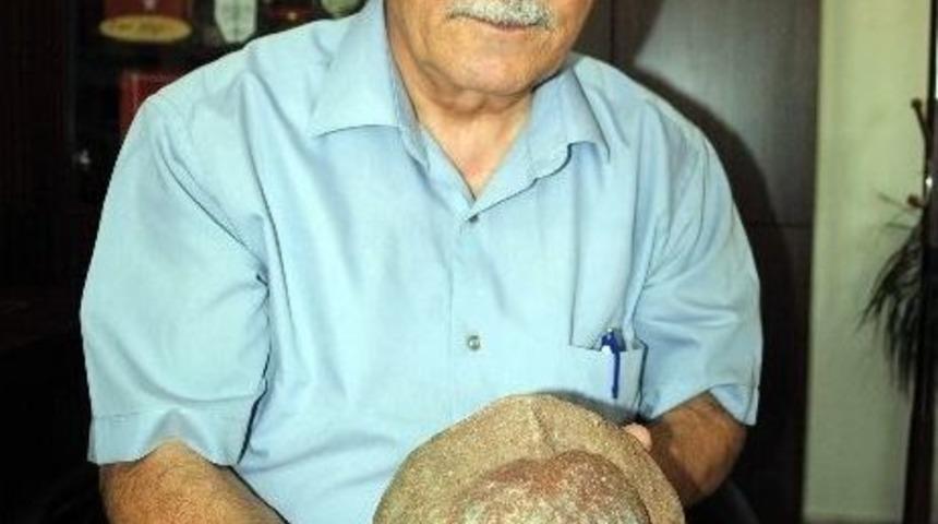Dinozor Yumurtası Gibi Taş
