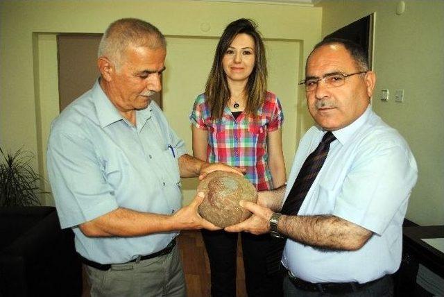 Dinozor Yumurtası Gibi Taş 1