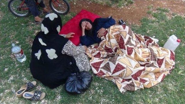 Suriyeli Dilenciler &Ouml;zg&uuml;rl&uuml;k Parkı na Yerleşti 1