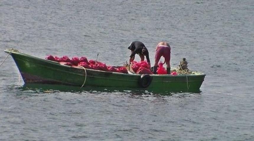 İstanbul Boğazı&rsquo;nda Yasak Şekilde Avlanan 10 Ton Midyeye El Konuldu