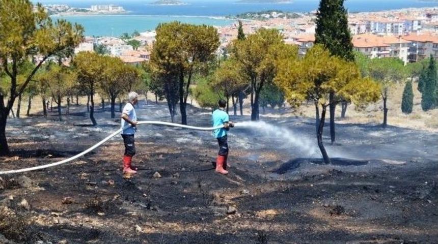 Ayvalık&rsquo;ta Ormanlık Alanda &Ccedil;ıkan Yangın Korkuttu