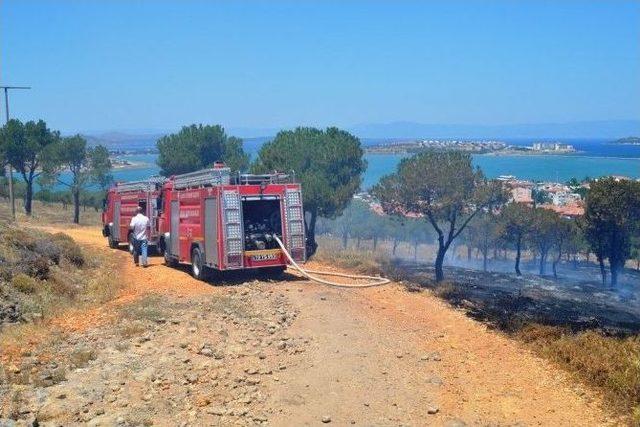 Ayvalık&rsquo;ta Ormanlık Alanda &Ccedil;ıkan Yangın Korkuttu 1