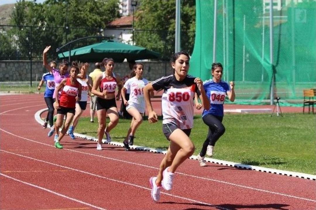 Kastamonu&rsquo;da Besyo Se&ccedil;meleri Bayılttı