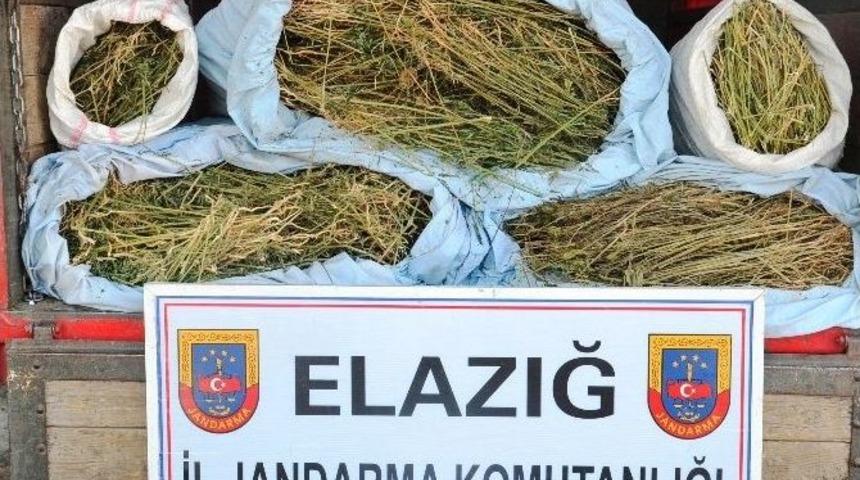 Elazığ'da Uyuşturucu Operasyonu