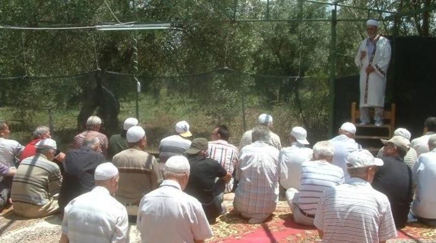 Zeytin Tarlasında Cuma Namazı Kılınıyor