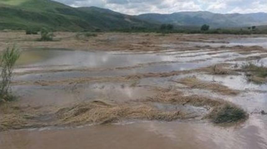 Karlıova'da Aşırı Yağış Sele Neden Oldu