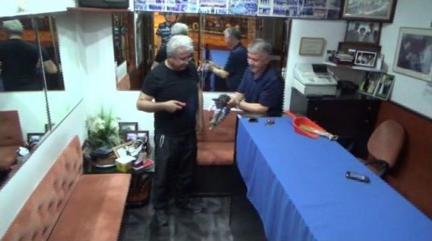 (özel Haber) Zonguldak'ta İçeride Kalan Kedi Alarmı Çaldırdı