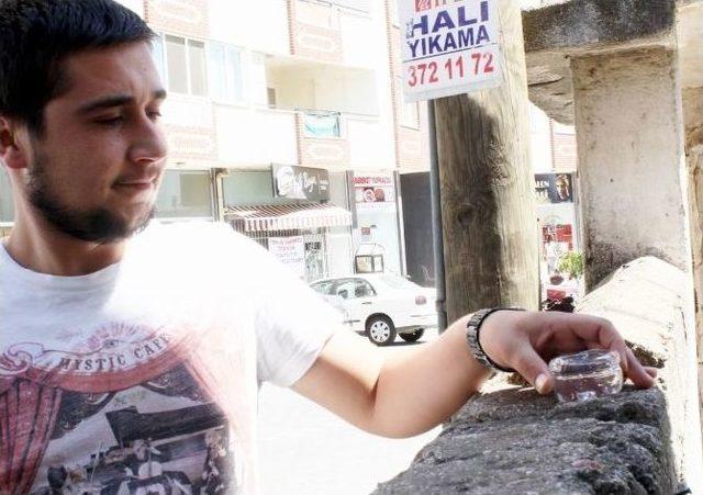 Duyarlı Esnaf, Sokak Hayvanlarını Unutmadı 1