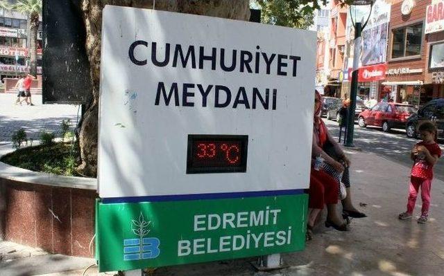 Duyarlı Esnaf, Sokak Hayvanlarını Unutmadı 3