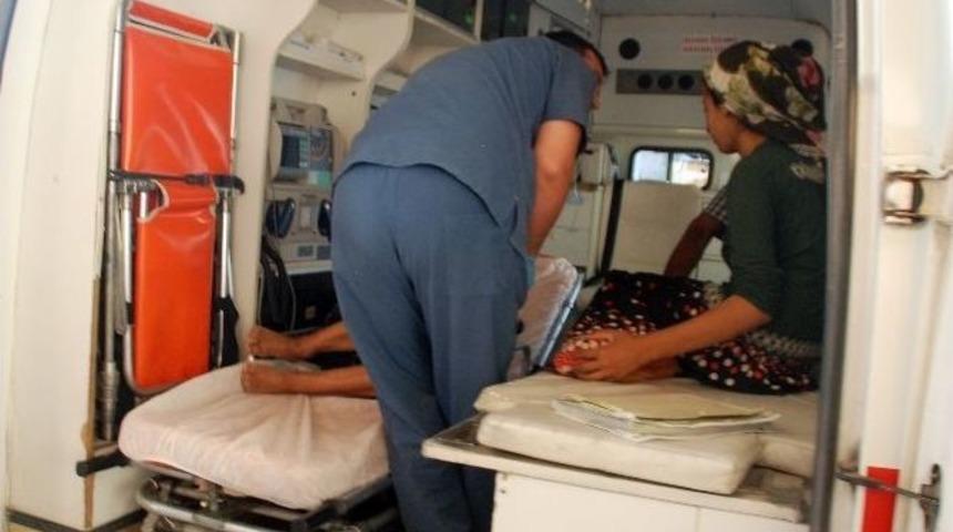 Adıyaman&rsquo;da Kurt Saldırısı: 2 Yaralı