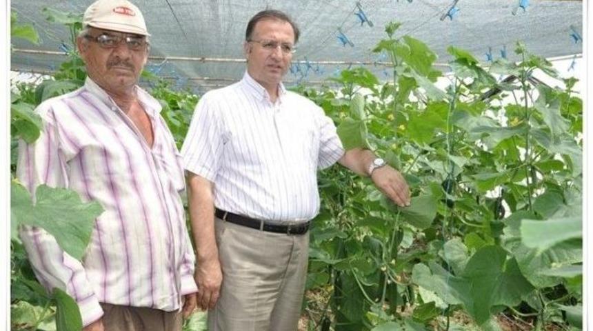 Keşan Kaymakamı Dıngırcı, Sebze &Uuml;reticilerini Ziyaret Etti