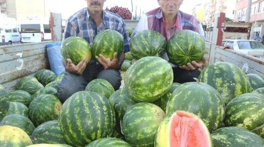 Trakya&rsquo;da Yerli Karpuz &Ccedil;ıktı
