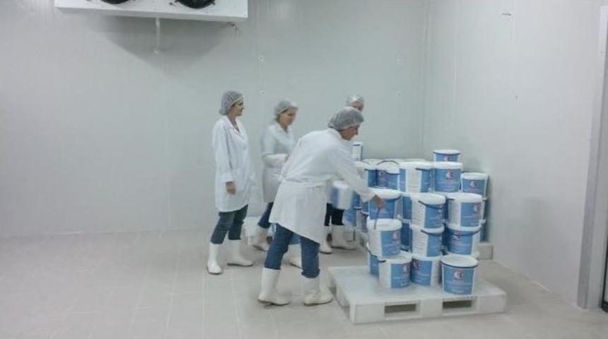 Çomü Soğuk Hava Deposu Hizmete Girdi