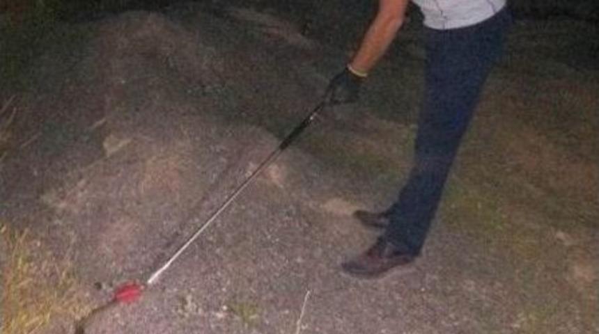 Beyşehir&rsquo;de İtfaiyenin Arı Ve Yılan Mesaisi