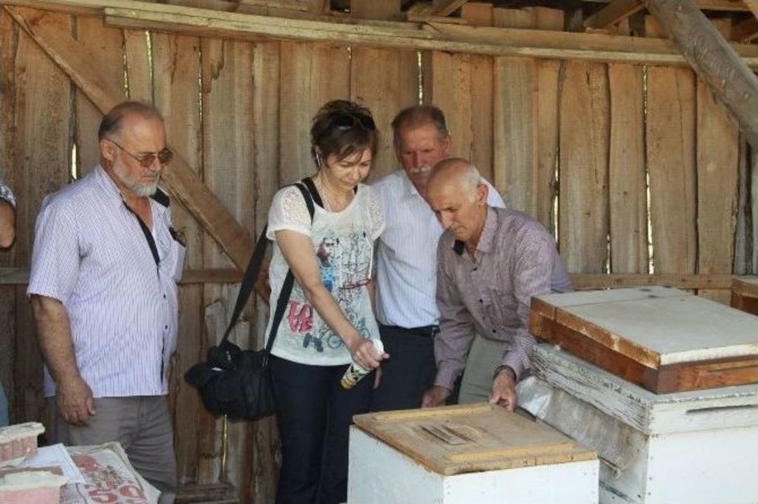 Arıcılara, 'organik İla&ccedil;lama' Eğitimi