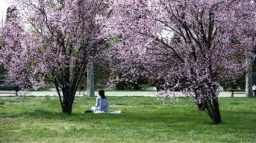 Sağlıklı Şehirler Ağı&rsquo;nda 6. D&ouml;nem