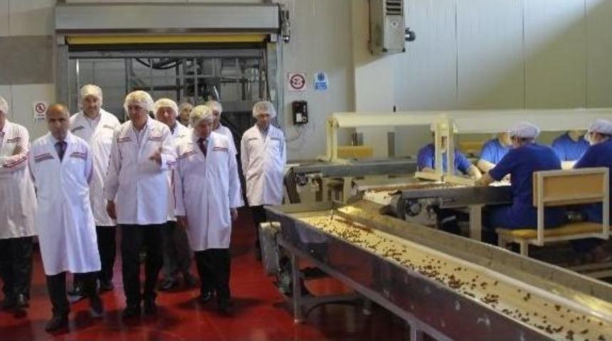 Vali Karahan'dan Mavi Yemiş Ve Elma &Uuml;retimine Destek