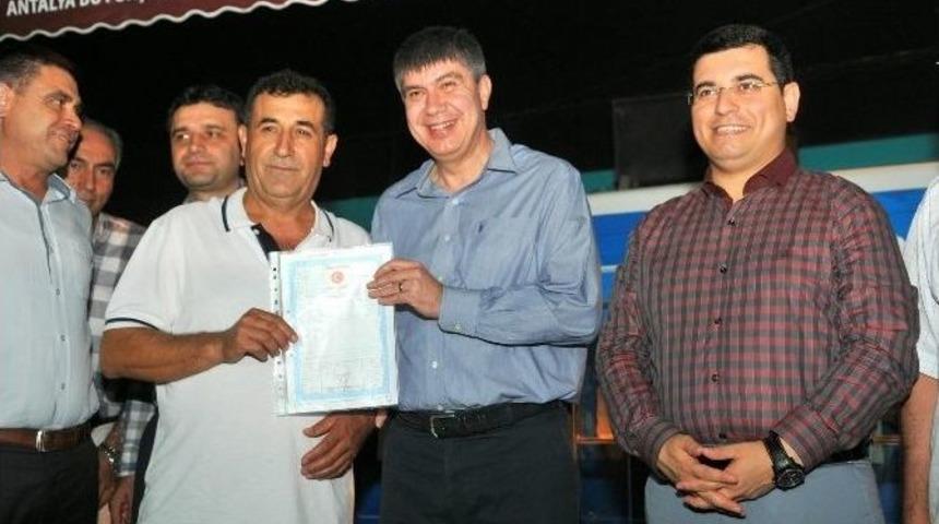 Altınova&rsquo;da Tapular Verildi, Yol M&uuml;jdesi Geldi