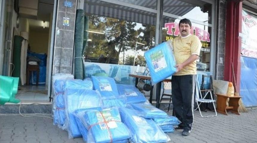 Fındık Brandaları Pazara İndi