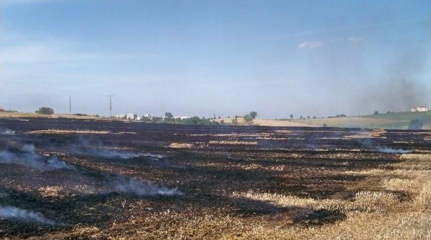 Tekirdağ'da 300 D&ouml;n&uuml;m Anız K&uuml;l Oldu