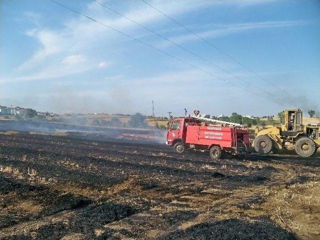 Tekirdağ'da 300 Dönüm Anız Kül Oldu