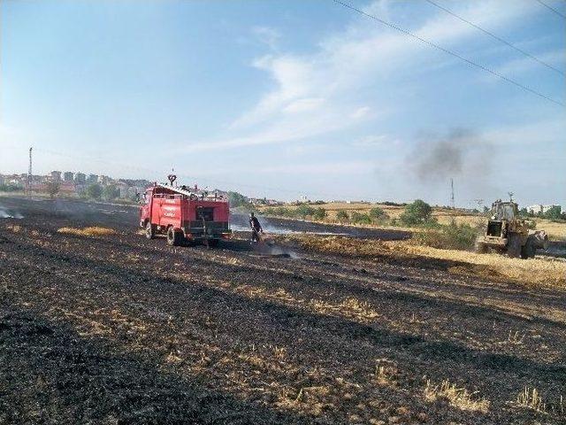 Tekirdağ'da 300 Dönüm Anız Kül Oldu