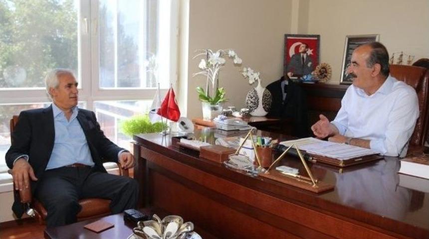 G&uuml;l&uuml;mseyen Kentler Mudanya Ve Nil&uuml;fer