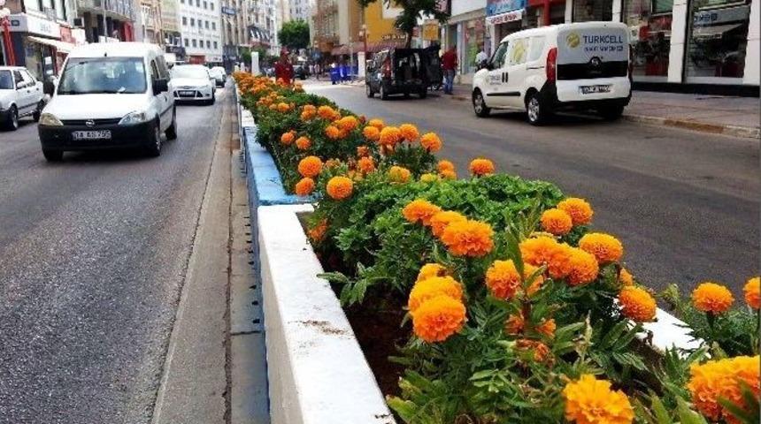 Kocamaz: &ldquo;mersin Rengarenk Bir G&ouml;r&uuml;n&uuml;me Kavuştu&rdquo;