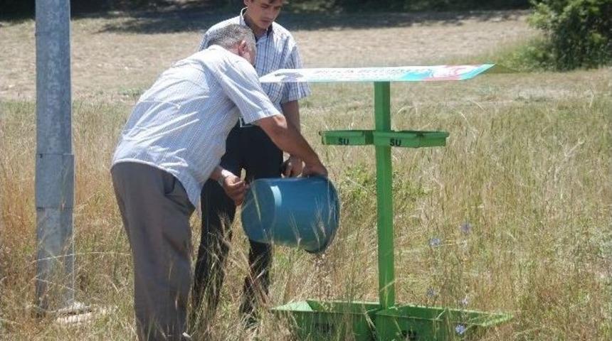 Bilecik Belediyesi Sokak Hayvanları Beslenme Noktalarına Yem Ve Su Takviyesi Yapıldı