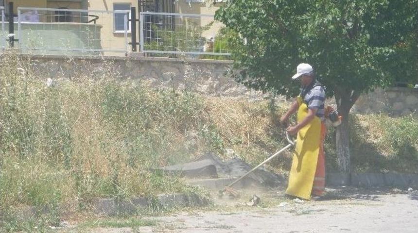 Belediyeden Yabani Ot Temizliği