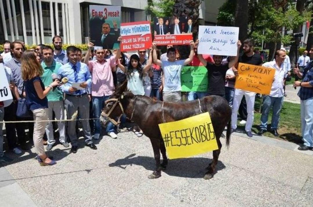 Ak Partili Gen&ccedil;lerden Eşekli Ulaşım Protestosu