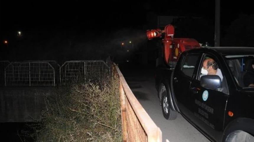 Manisa 7/24 Haşereden Arınıyor