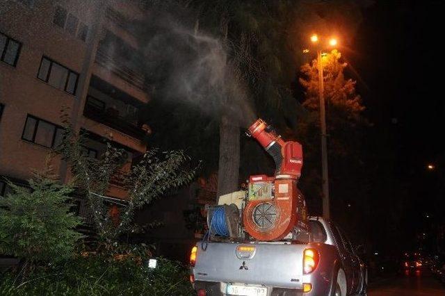 Manisa 7/24 Haşereden Arınıyor 1