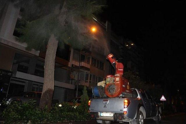 Manisa 7/24 Haşereden Arınıyor 2