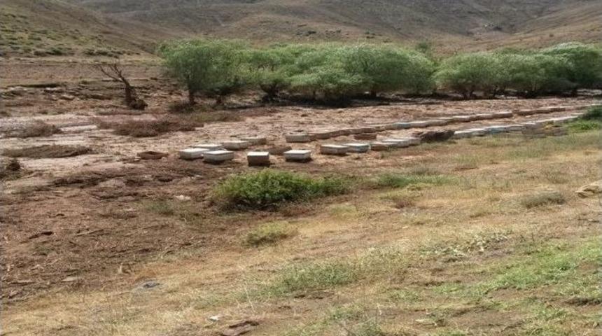 Alacakaya'daki Selin Zararı Belli Oldu