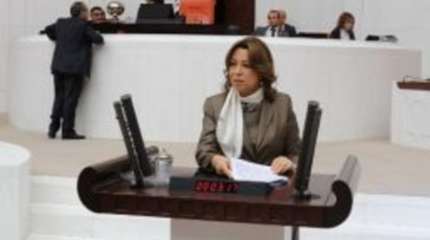 &Ccedil;alık: &ldquo;d&uuml;nya N&uuml;fusu Yaşlanıyor&rdquo;