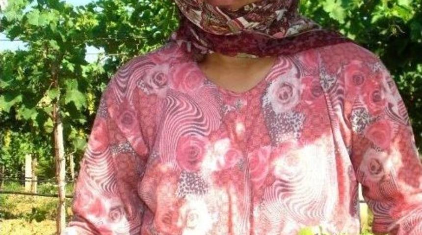 Sarıg&ouml;l&rsquo;de Sıcak Altında &Uuml;z&uuml;m Hasadı