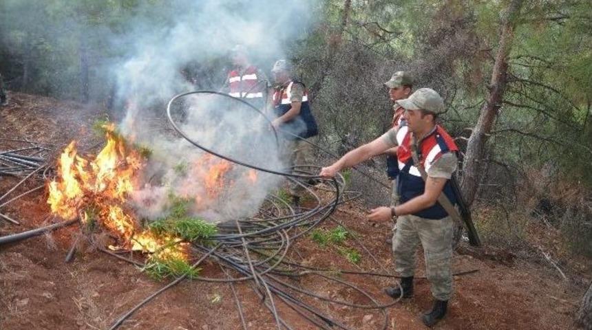 Amanoslar&rsquo;da Uyuşturucu Operasyonu