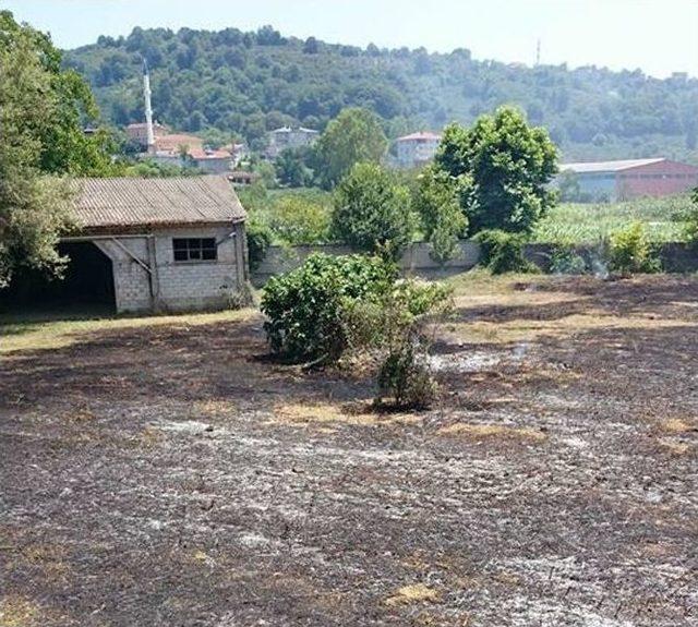 Çalılık Yangını Tüp Deposuna Sıçramadan Söndürüldü