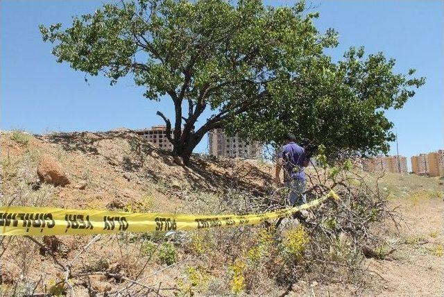  eve Geliyorum  Dedi, 30 Bı&ccedil;ak Darbesiyle &Ouml;ld&uuml;r&uuml;ld&uuml; 2