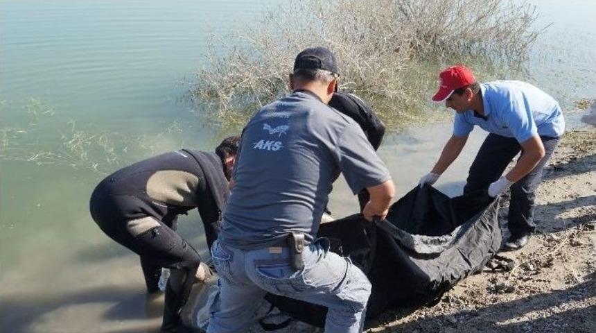 Baraj G&ouml;l&uuml;nde Ceset Bulundu