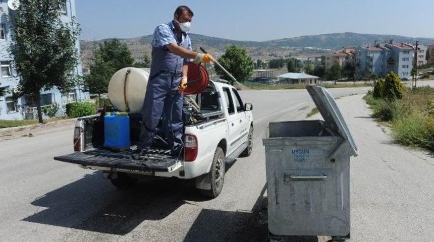 Haşere M&uuml;cadelesi &Ccedil;&ouml;p Konteynerlarında S&uuml;r&uuml;yor