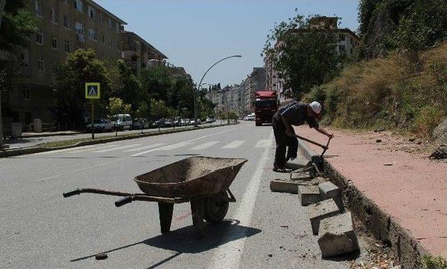 Yol Olan Arazisini Sebze Bahçesine Çevirecek