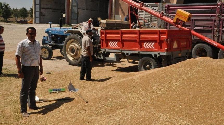 Buğday Fiyatları &Ccedil;ift&ccedil;iyi Memnun Etti