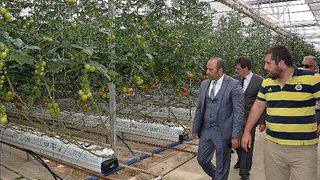 Afyonkarahisar Gıda, Tarım Ve Hayvancılık İl Müdürü Hüseyin Arap İşletmelerin Faaliyetlerini Yerinde Gördü