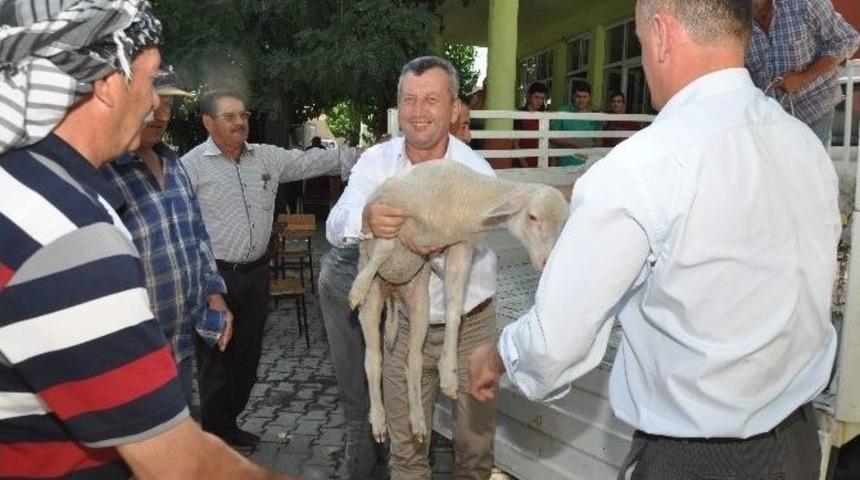İzmir'den T&uuml;rkiye'ye &Ouml;rnek Proje