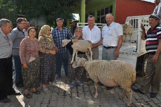 İzmir den T&uuml;rkiye ye &Ouml;rnek Proje 1