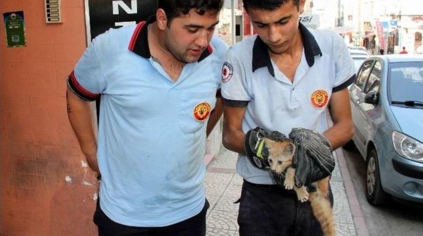 Asans&ouml;r Boşluğunda Mahsur Kalan Kediyi İtfaiye Kurtardı