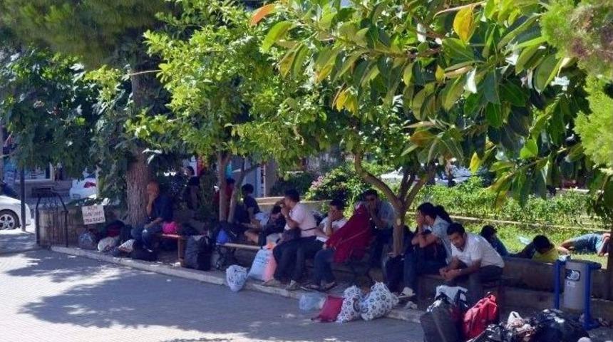 Dat&ccedil;a&rsquo;da 33 Ka&ccedil;ak G&ouml;&ccedil;men Yakalandı