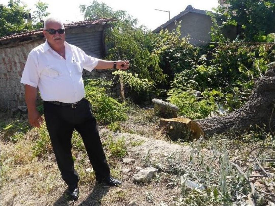 Yatırda Tahribat Ve Hırsızlık Tepkiye Neden Oldu